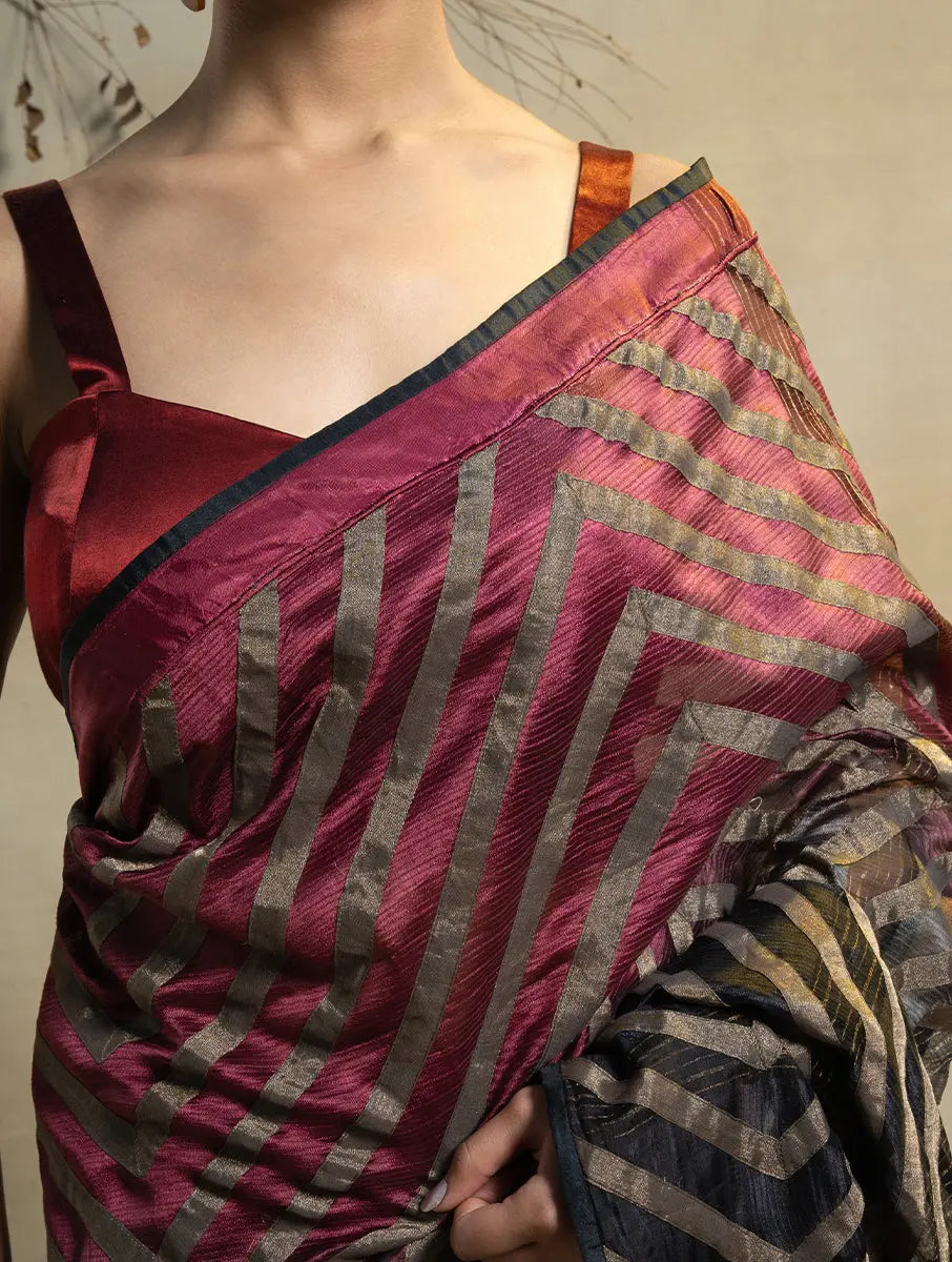 Pure Silk Tissue Applique Saree VISHAL KAPUR STUDIO