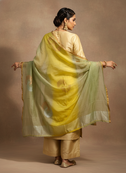 Formal Chanderi Dupatta