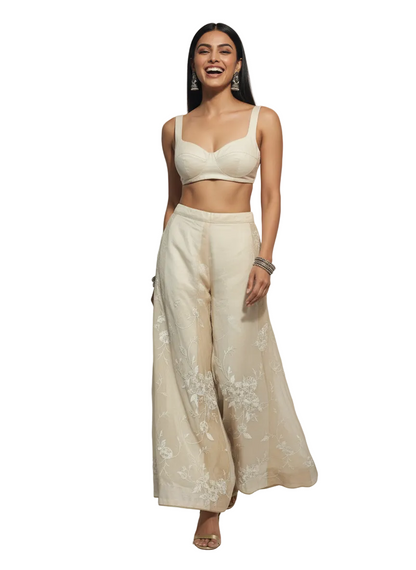 Formal chanderi Embroidered Palazzo pant