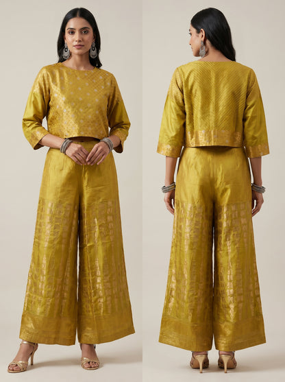 Formal chanderi Embroidered Indowestern set